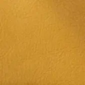 2434803 - GIRASOLE